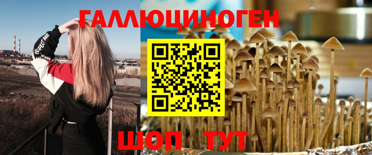 Нижний Новгород  Псилоцибиновые грибы ЛСД  Псилоцибиновые грибы мицелий  Вход с VPN 